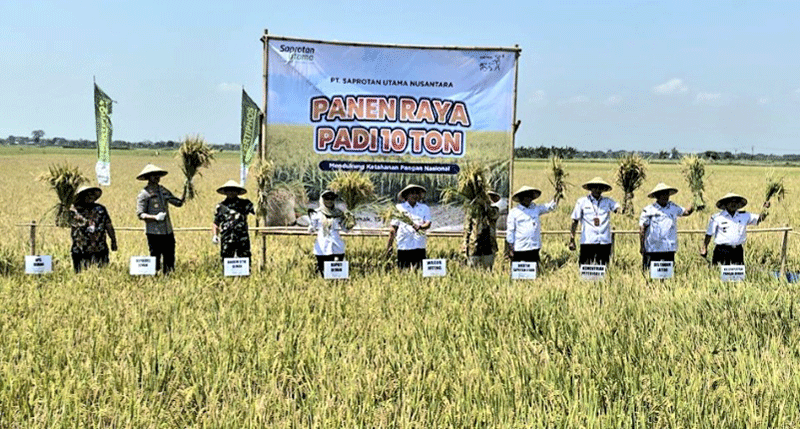 Secara simbolis panen raya padi.